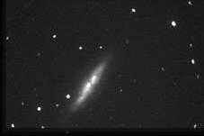 ccd_m82.jpg (2960 �o�C�g)