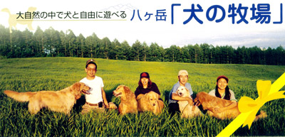 inu_bokujyo.jpg (46860 �o�C�g)